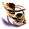 Anello foglie