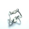 Anello serpenti